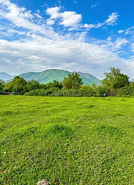 Satılır torpaq sahəsi 40 m² — Qəbələ 40.00 m²