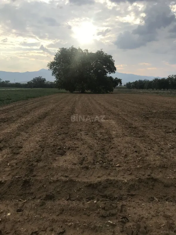 Satılır torpaq sahəsi 46 m²