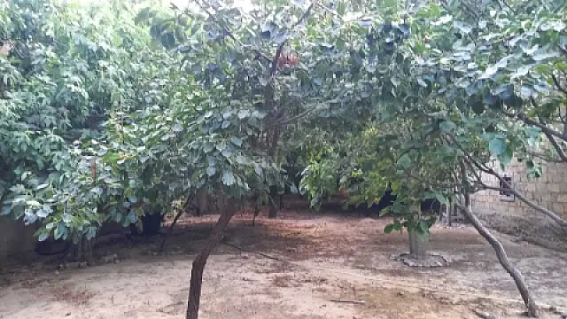 Satılır 10 otaqlı həyət evi 450 m²