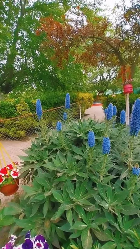 Satılır 9 otaqlı həyət evi 420 m²