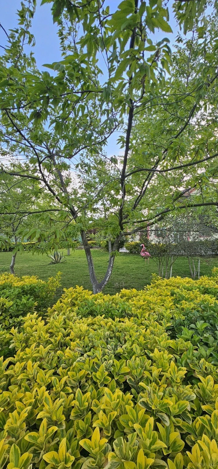 Satılır 9 otaqlı həyət evi 420 m²