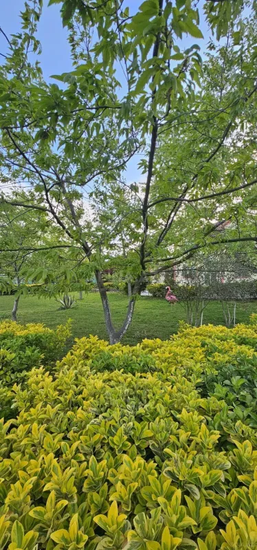 Satılır 9 otaqlı həyət evi 420 m²