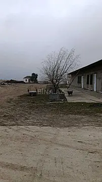 Satılır obyekt 2400 m²