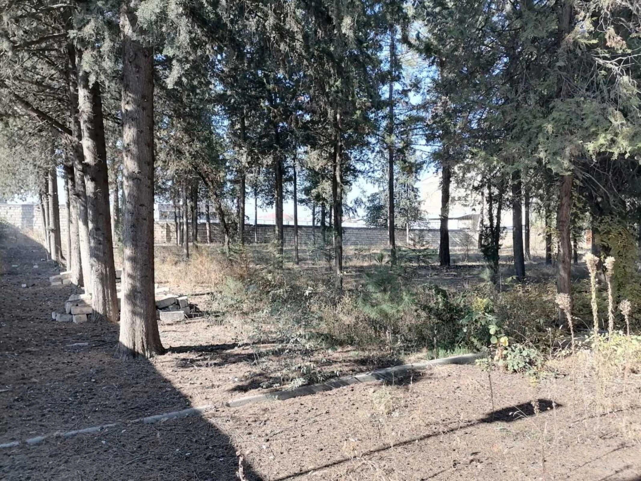 Satılır obyekt 1031.9 m²