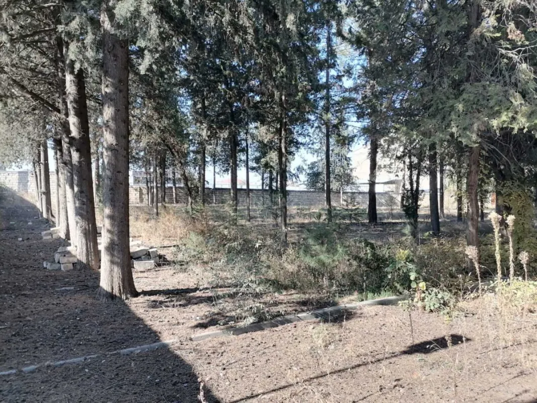 Satılır obyekt 1031.9 m²