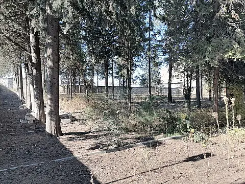 Satılır obyekt 1031.9 m²