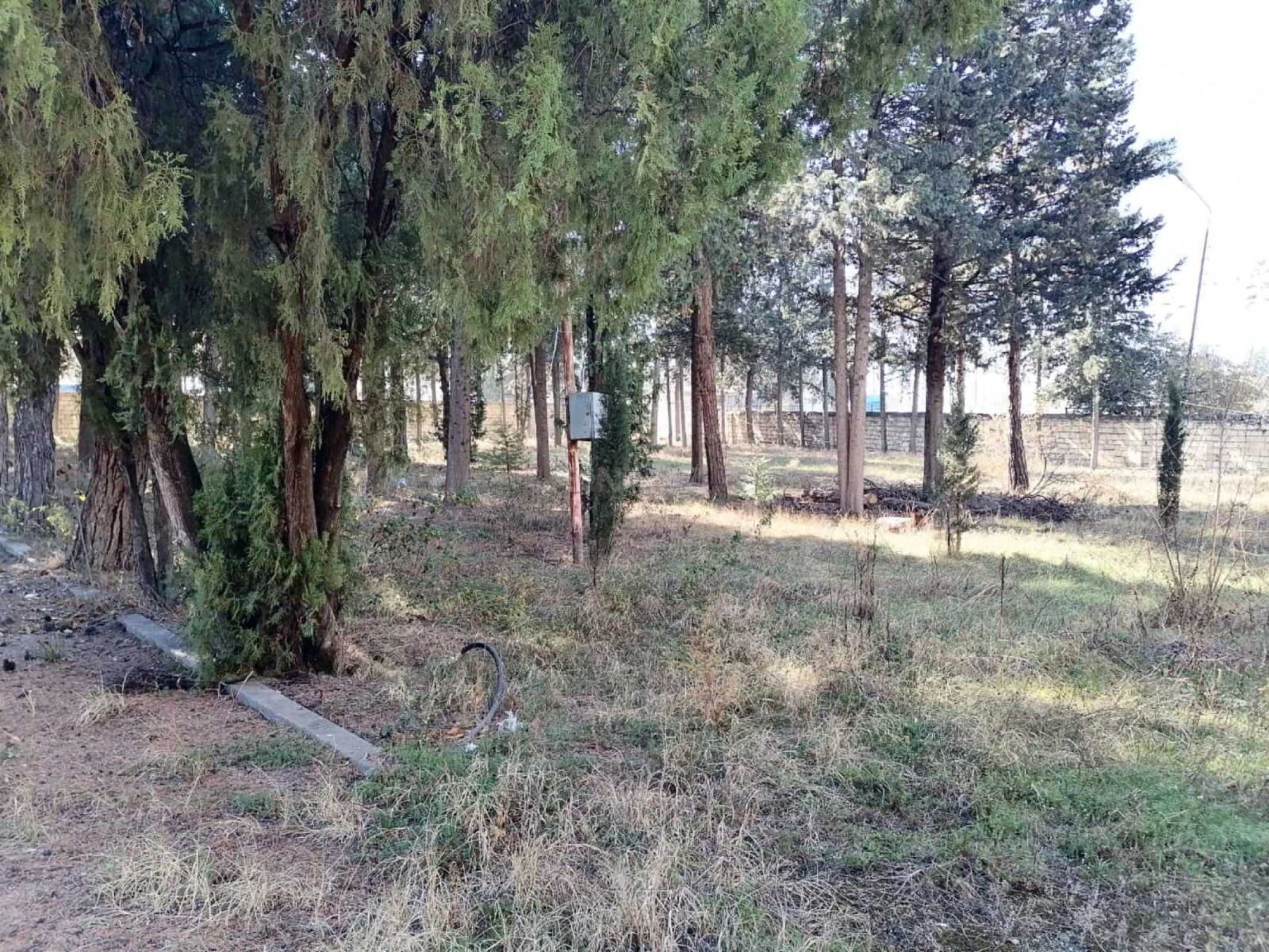 Satılır obyekt 1031.9 m²