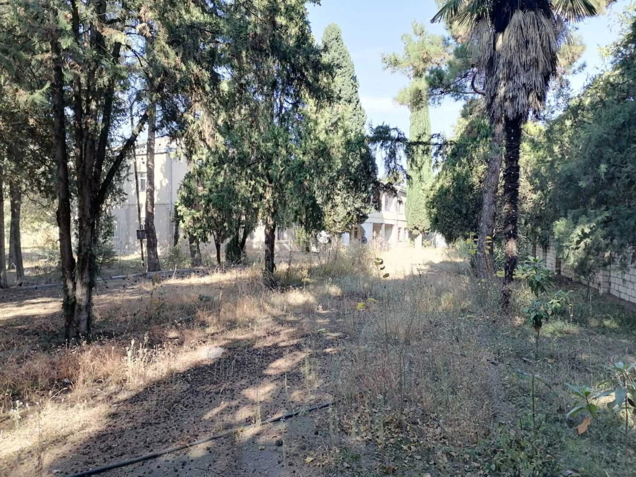 Satılır obyekt 1031.9 m²