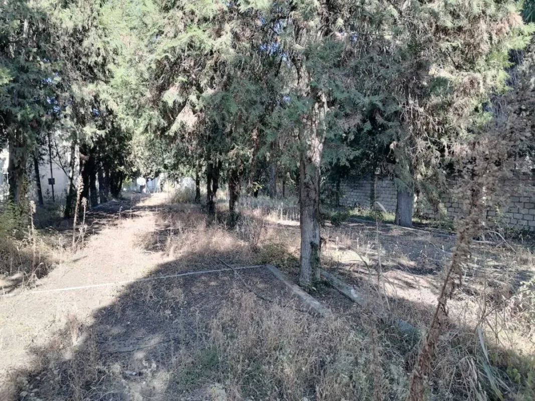 Satılır obyekt 1031.9 m²