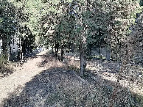 Satılır obyekt 1031.9 m²