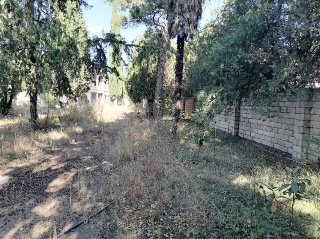 Satılır obyekt 1031.9 m²