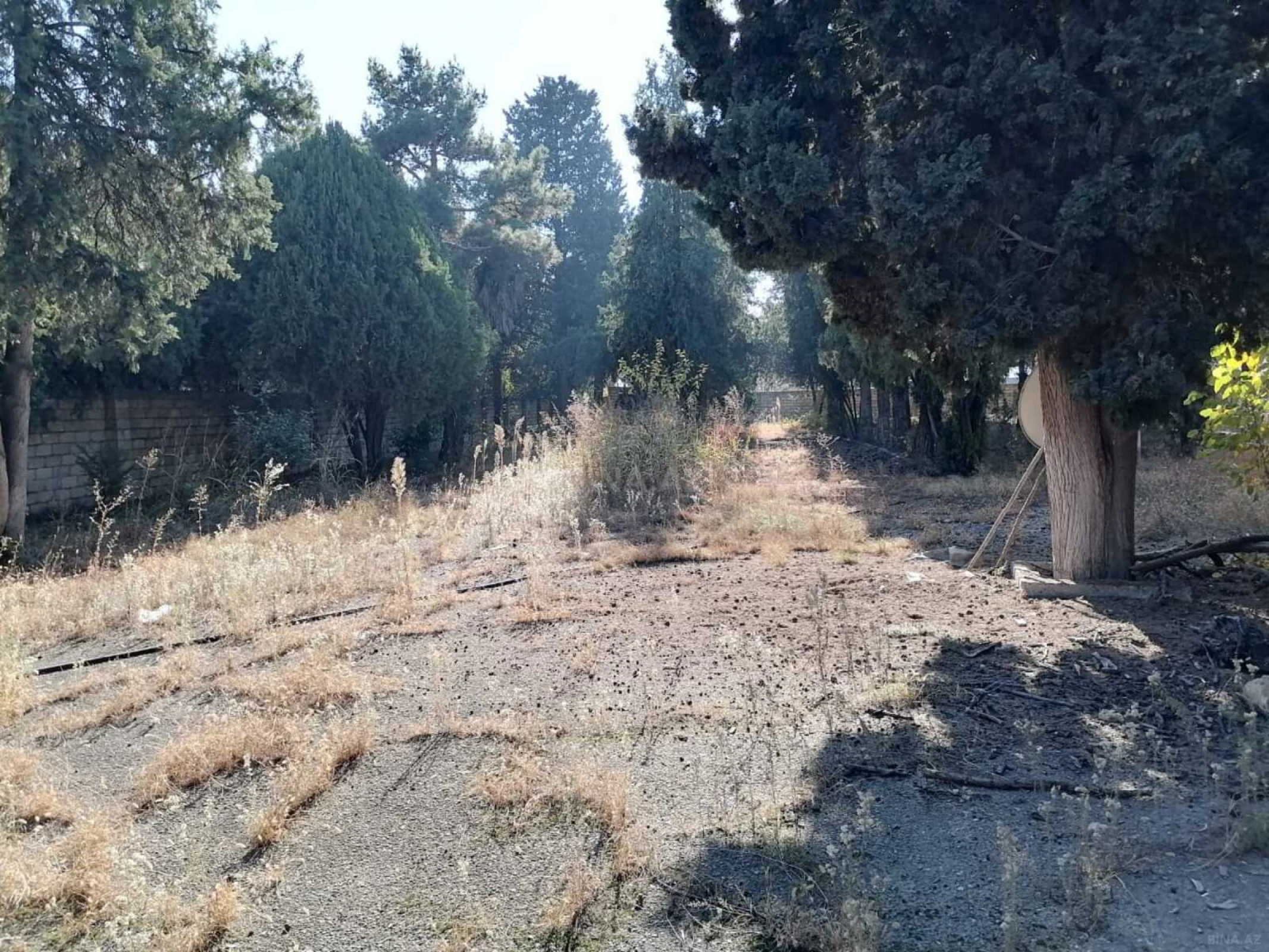 Satılır obyekt 1031.9 m²