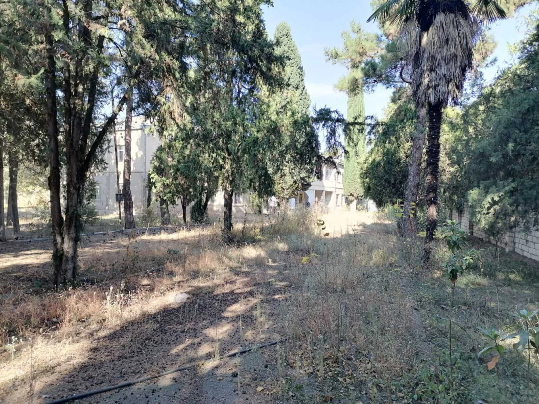 Satılır obyekt 1031.9 m²