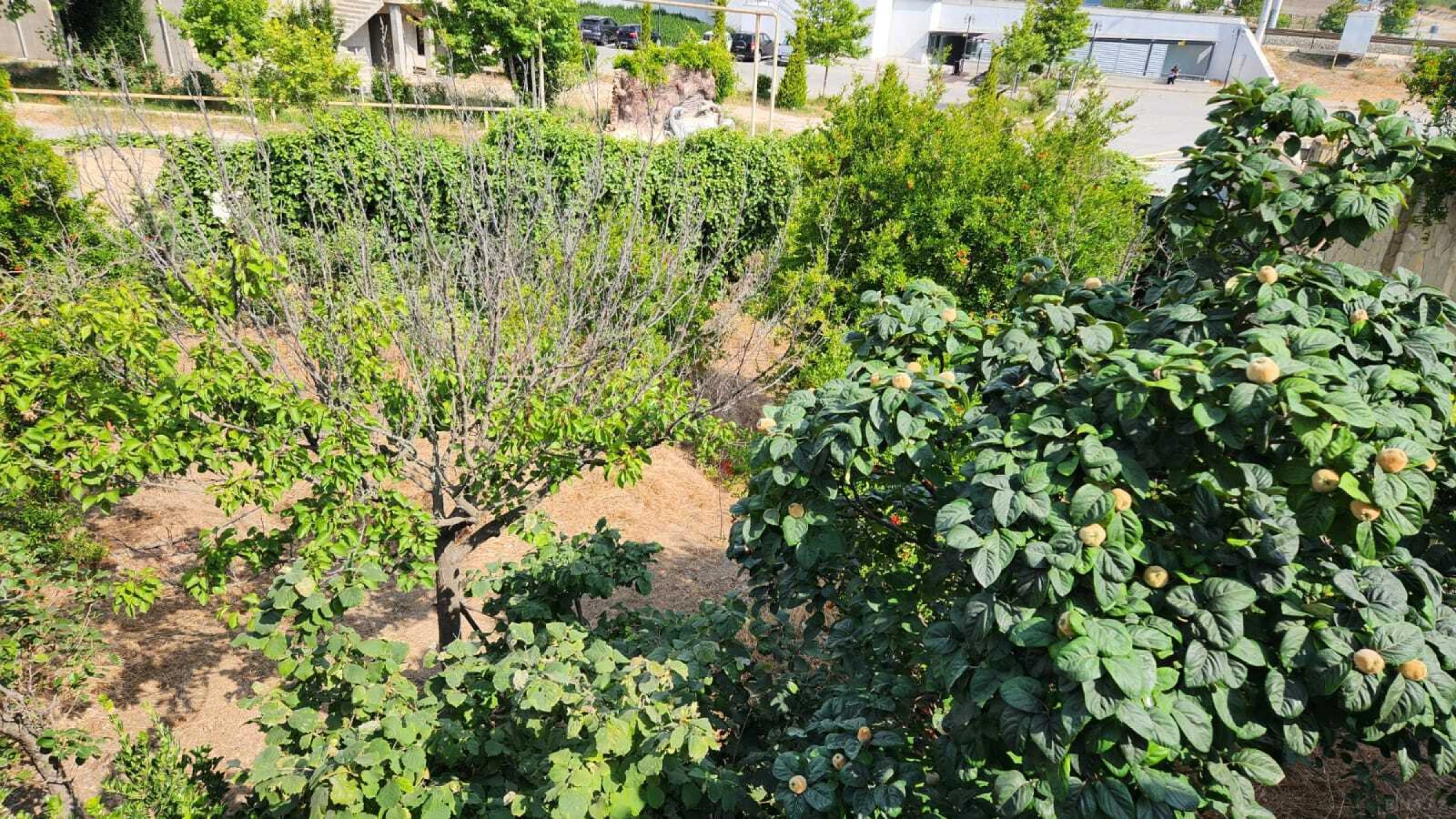 Satılır 5 otaqlı həyət evi 300 m²