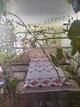 Kirayə verilir obyekt 500 m²