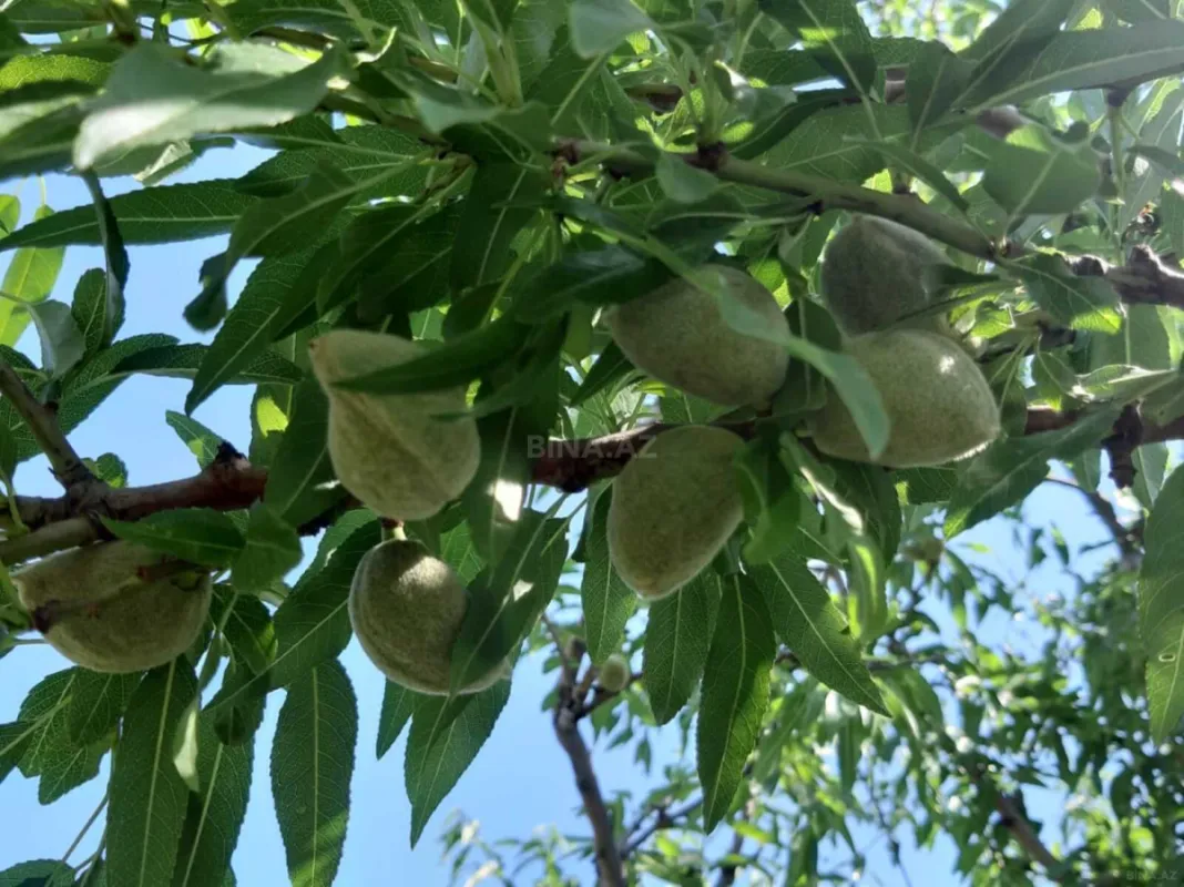 Satılır torpaq sahəsi 16.5 m²