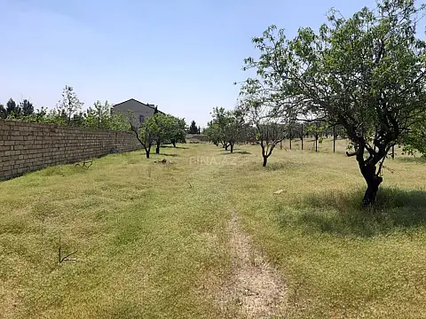 Satılır torpaq sahəsi 16.5 m² — Bakı, Saray 16.50 m²