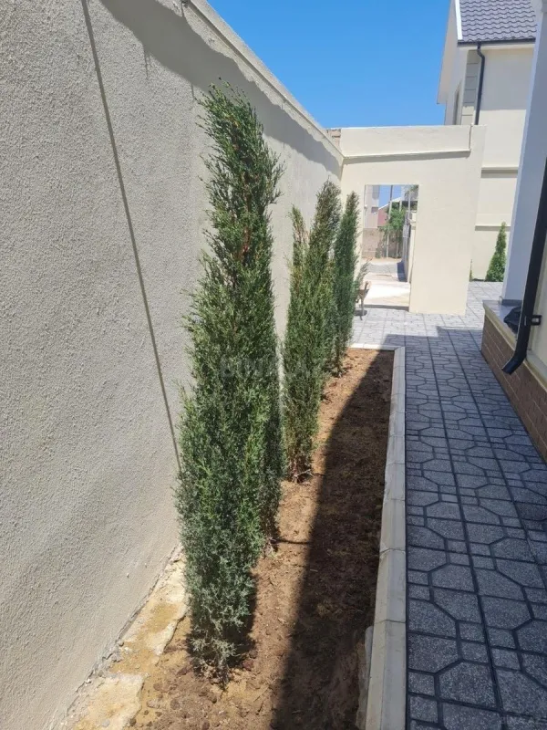 Satılır 4 otaqlı həyət evi 170 m²