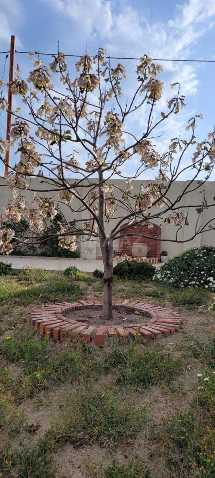 Satılır 4 otaqlı həyət evi 200 m²