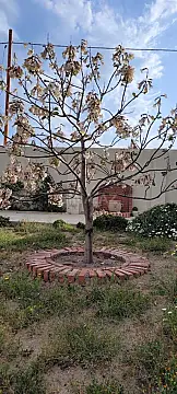 Satılır 4 otaqlı həyət evi 200 m²