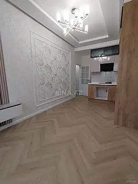 Satılır 2 otaqlı mənzil 46 m²