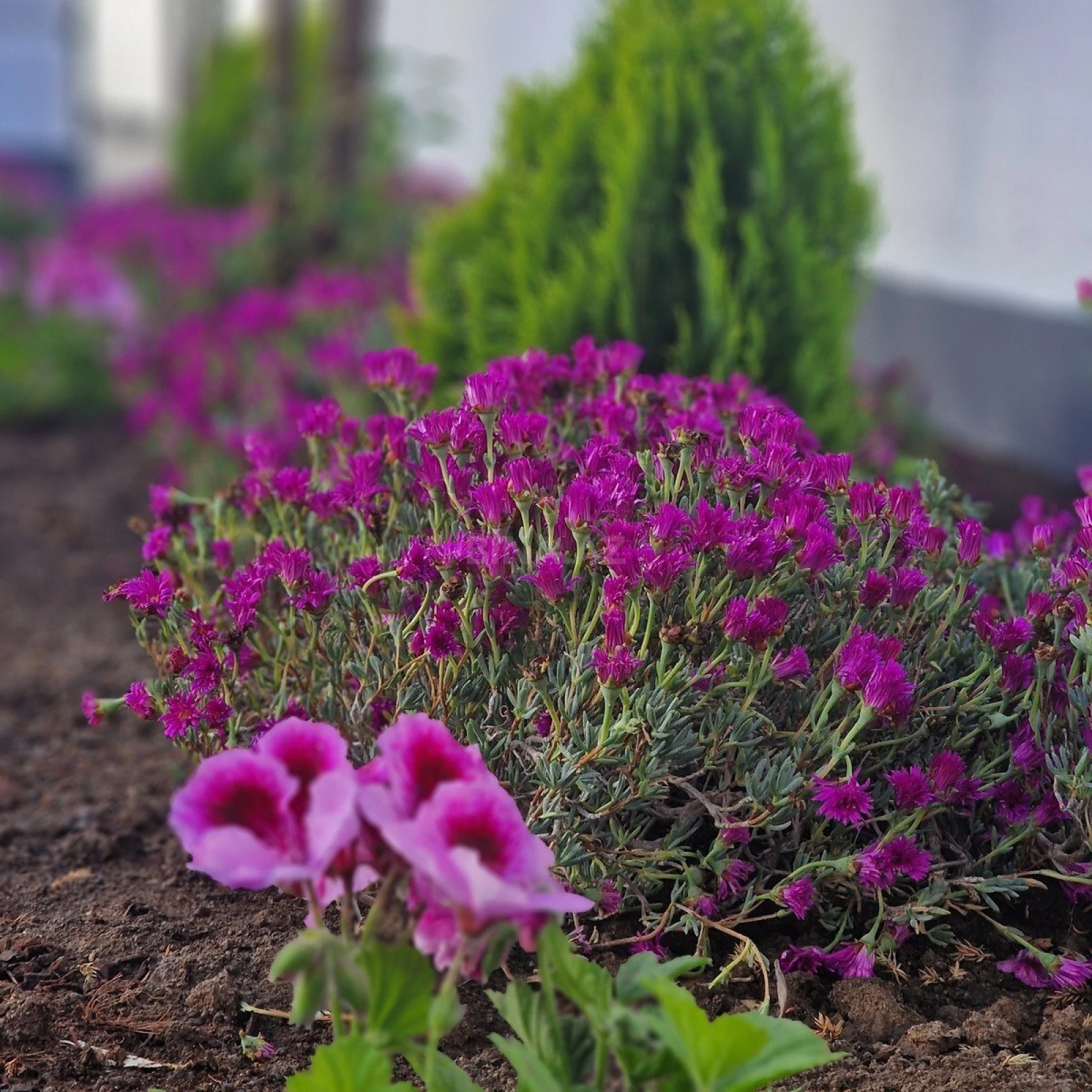 Satılır 7 otaqlı həyət evi 450 m²