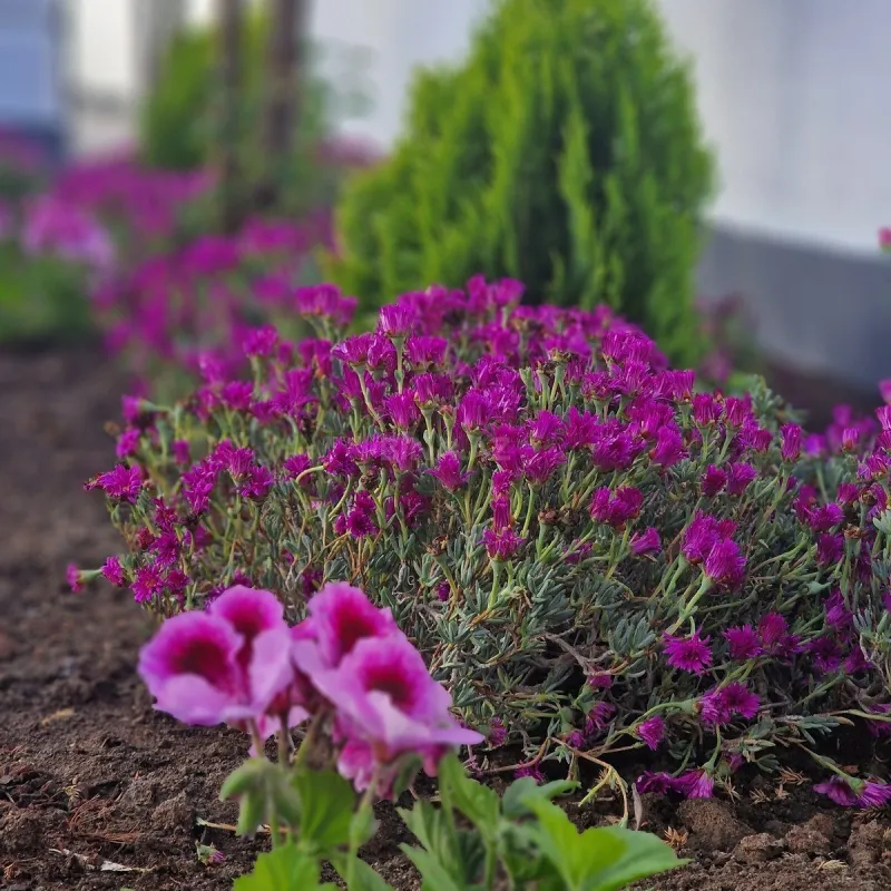 Satılır 7 otaqlı həyət evi 450 m²