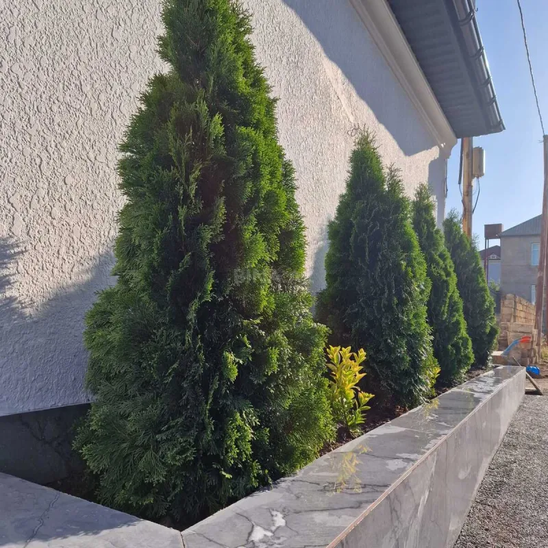 Satılır 7 otaqlı həyət evi 450 m²