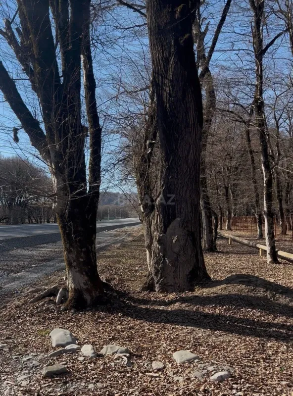 Satılır torpaq sahəsi 350 m²