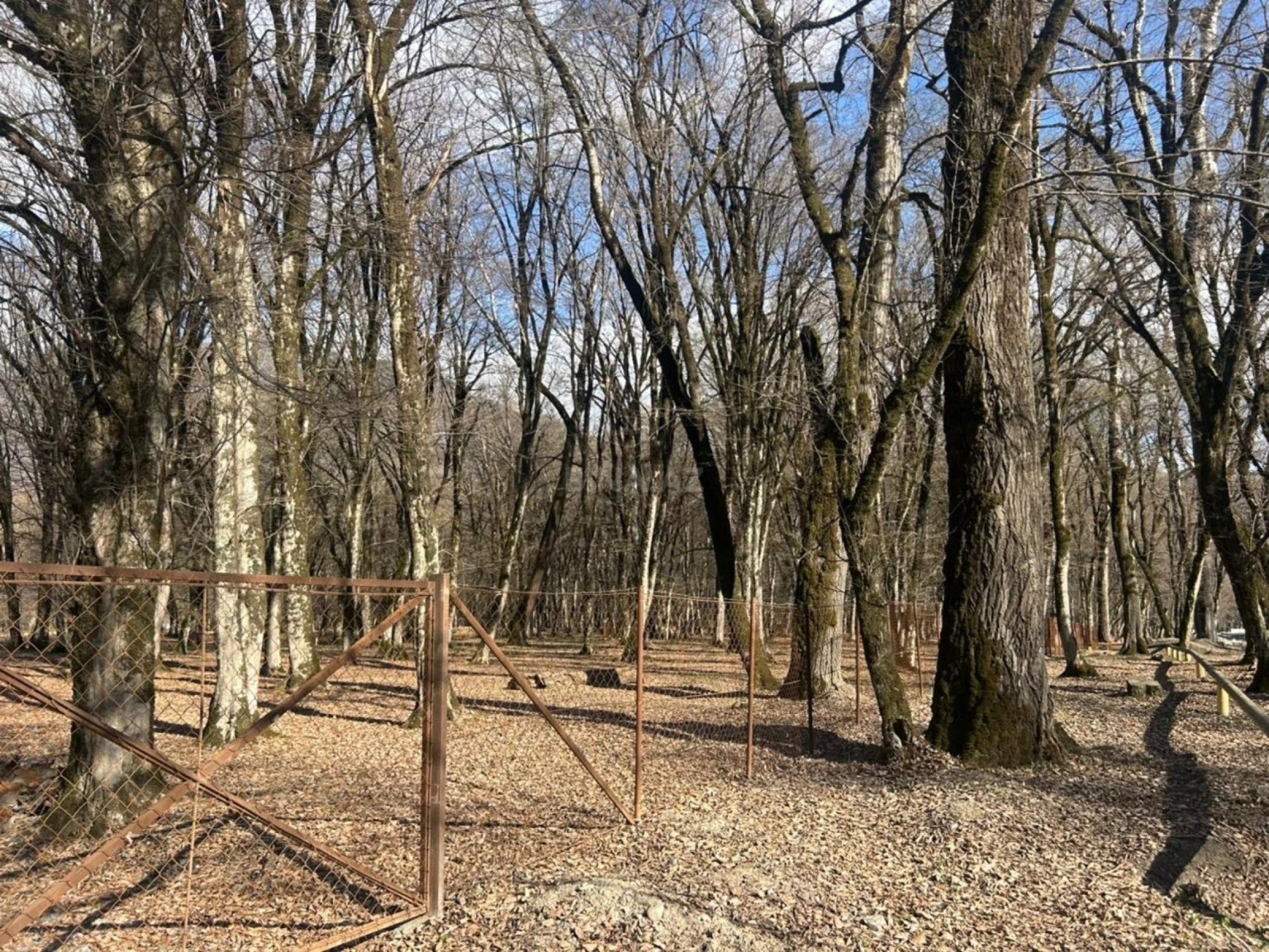 Satılır torpaq sahəsi 350 m²