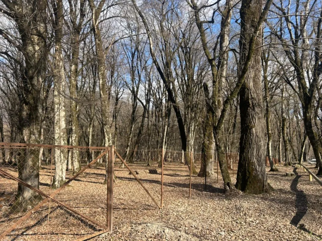 Satılır torpaq sahəsi 350 m²