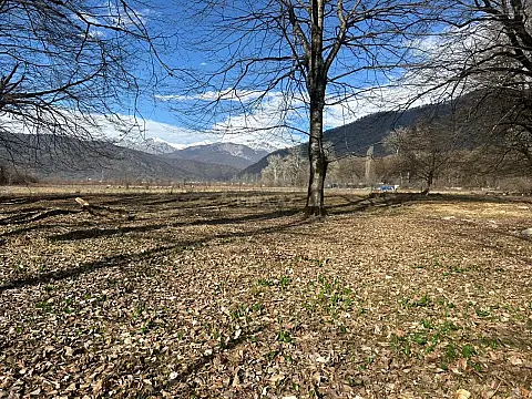 Satılır torpaq sahəsi 350 m²