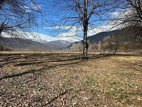 Satılır torpaq sahəsi 350 m² — İsmayıllı 350.00 m²