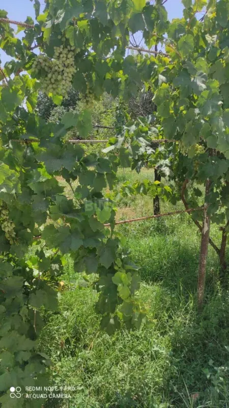 Satılır 4 otaqlı həyət evi 200 m²