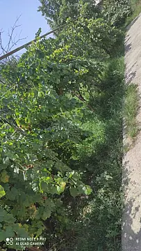 Satılır 4 otaqlı həyət evi 200 m²