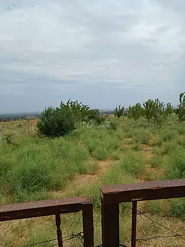 Satılır torpaq sahəsi 20 m²
