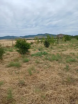 Satılır torpaq sahəsi 20 m²