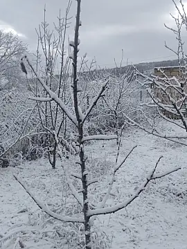 Kirayə verilir 4 otaqlı həyət evi 100 m²