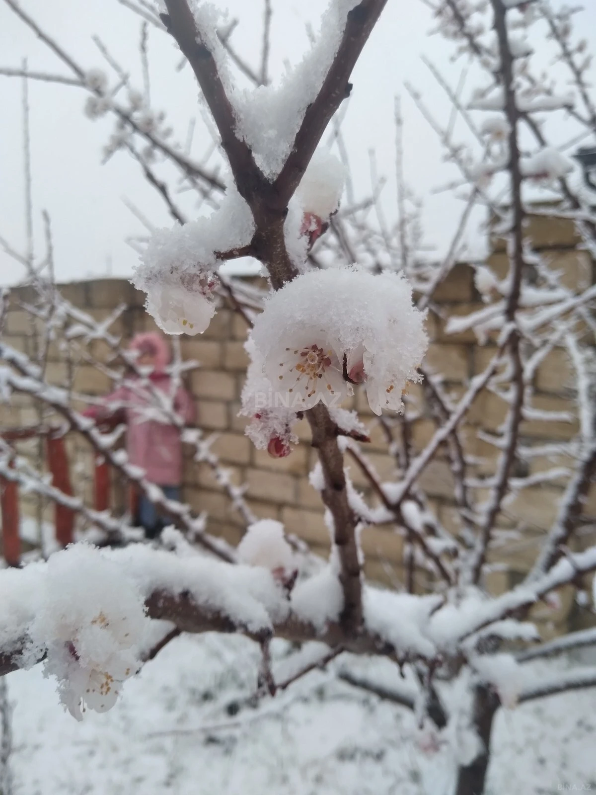 Kirayə verilir 4 otaqlı həyət evi 100 m²