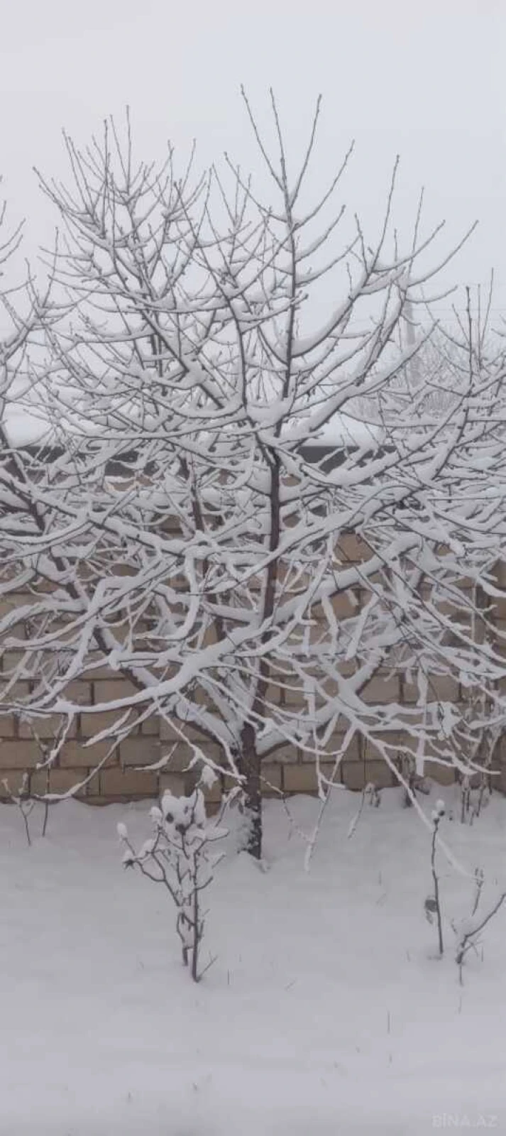 Kirayə verilir 4 otaqlı həyət evi 100 m²