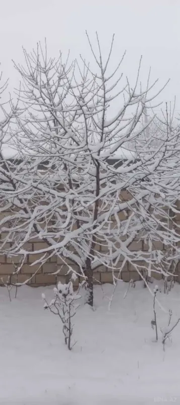 Kirayə verilir 4 otaqlı həyət evi 100 m²