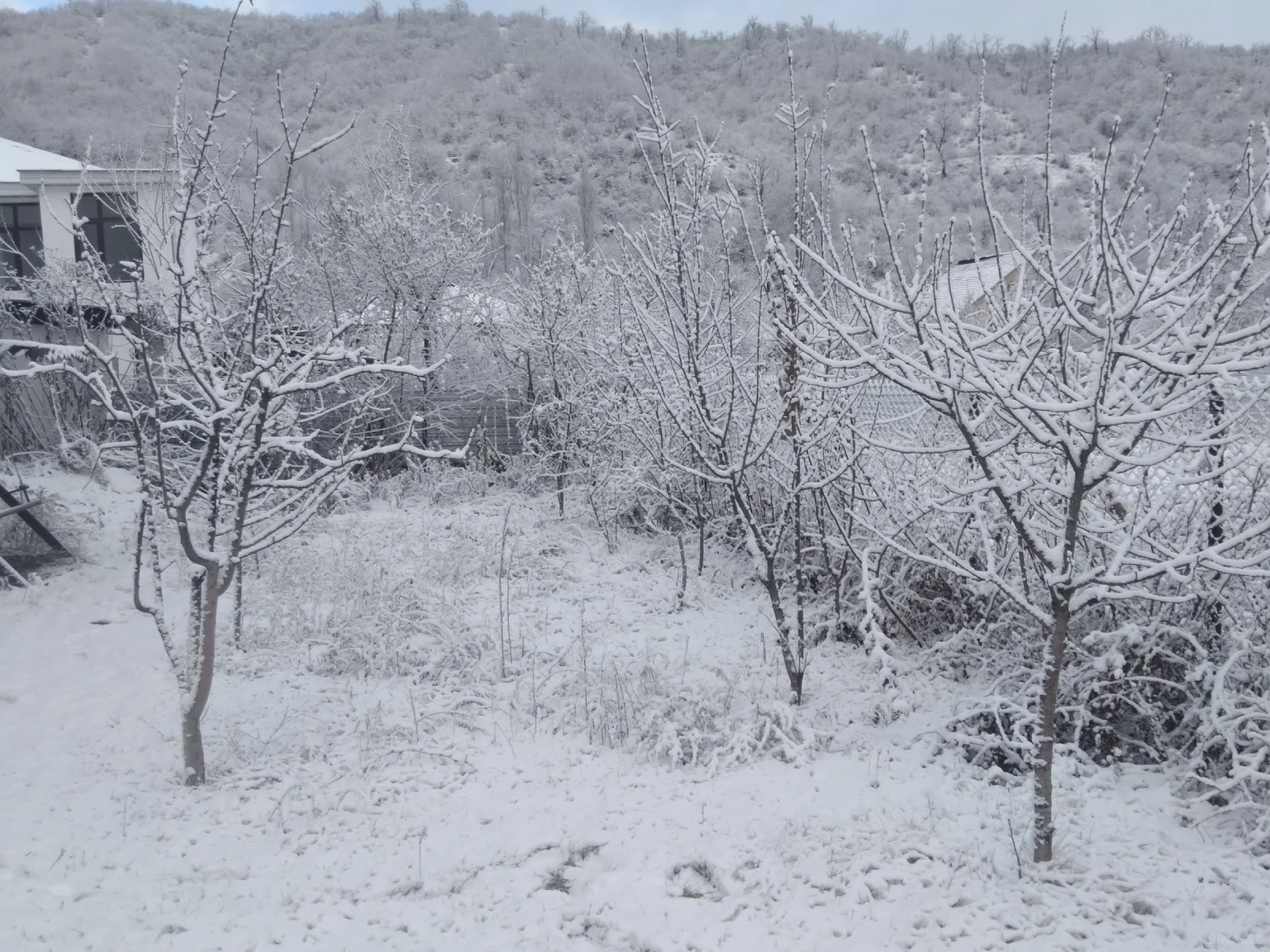 Kirayə verilir 4 otaqlı həyət evi 100 m²