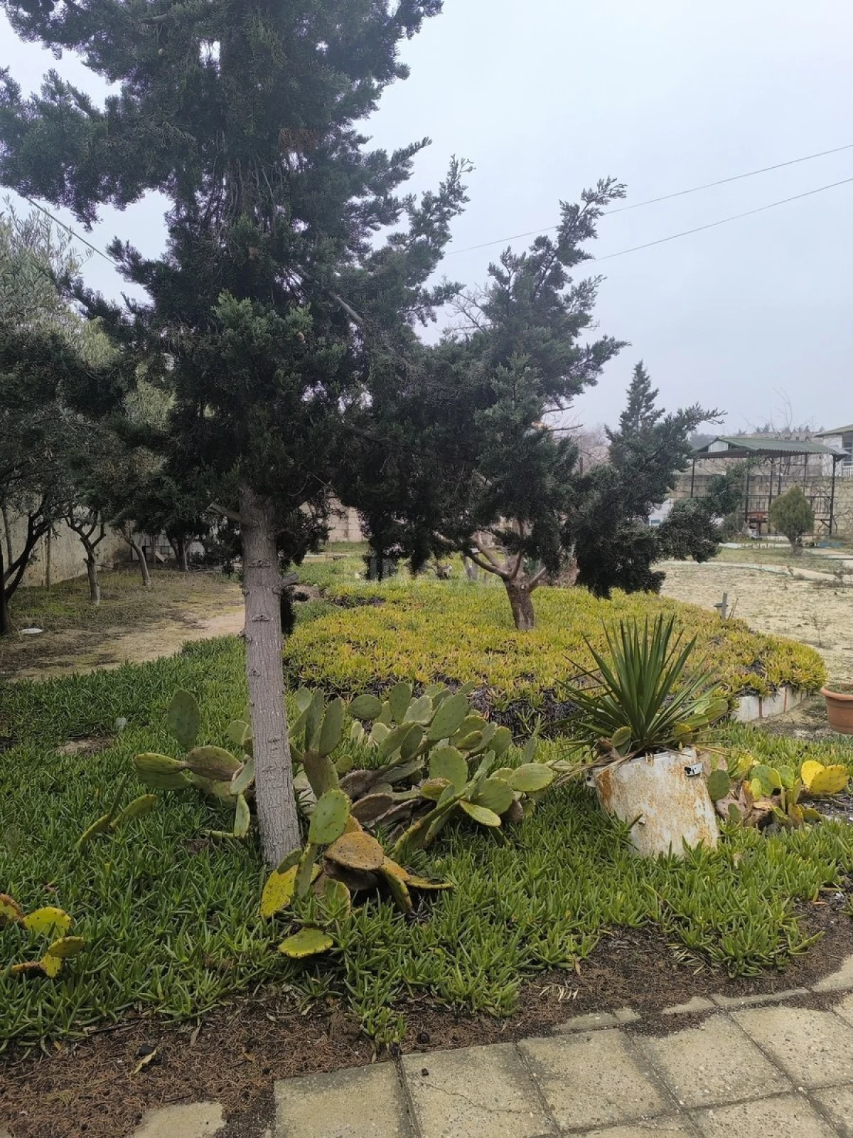 Satılır 5 otaqlı həyət evi 250 m²