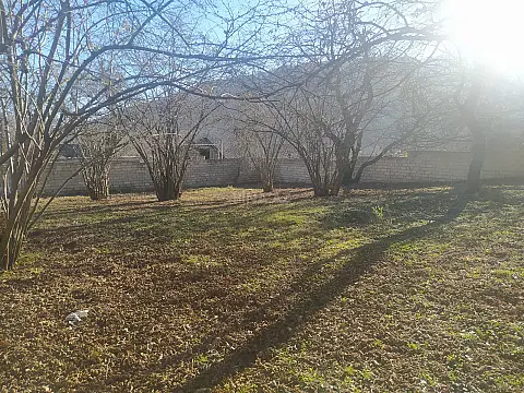 Satılır torpaq sahəsi 14 m² — İsmayıllı 14.00 m²
