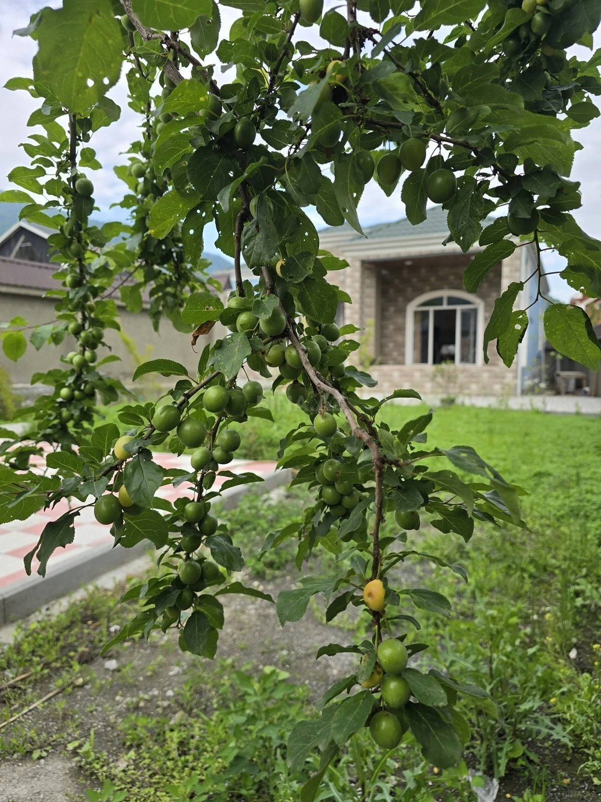 Satılır 3 otaqlı həyət evi 120 m²