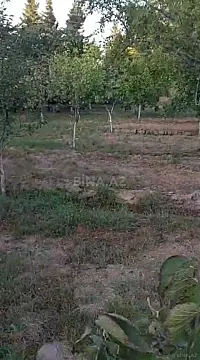 Satılır torpaq sahəsi 10 m²