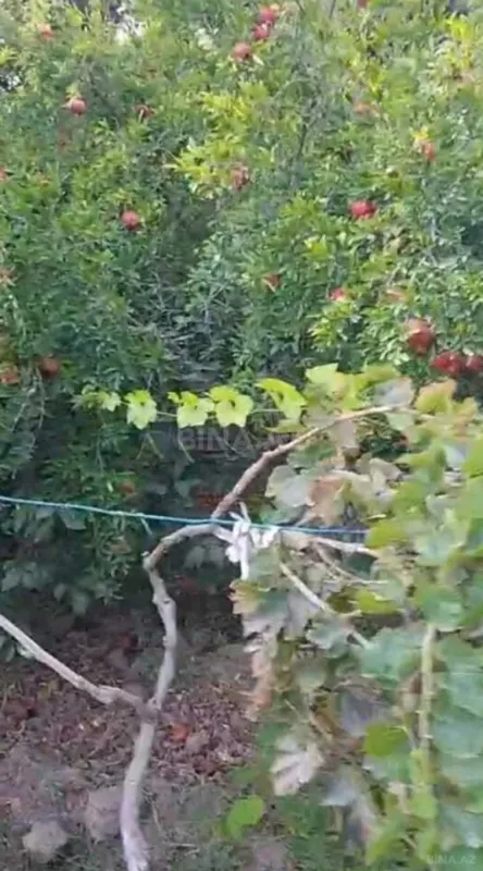 Satılır torpaq sahəsi 10 m²