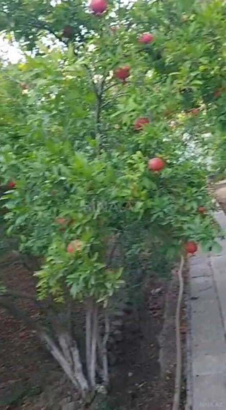 Satılır torpaq sahəsi 10 m²