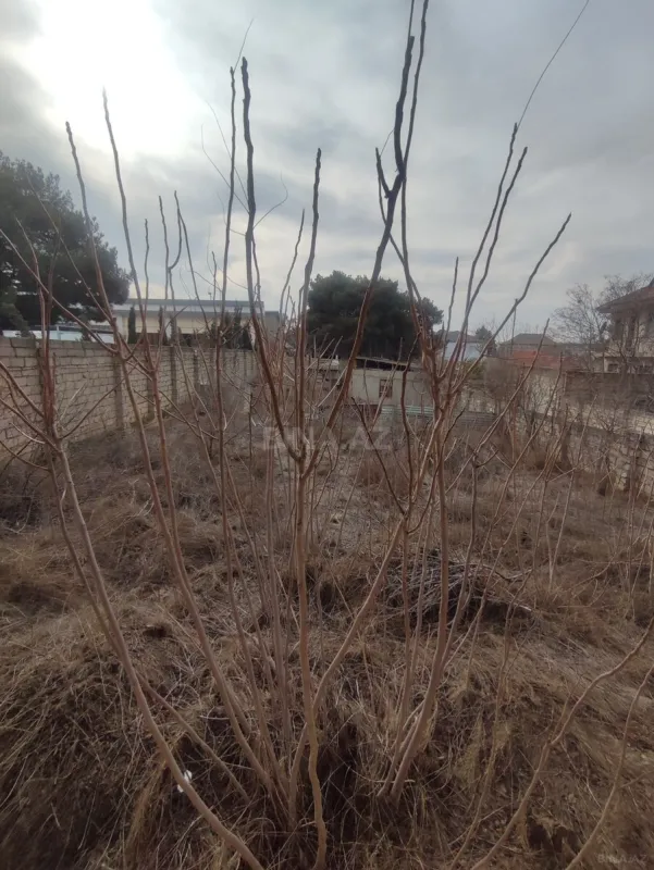 Satılır 7 otaqlı həyət evi 390 m²