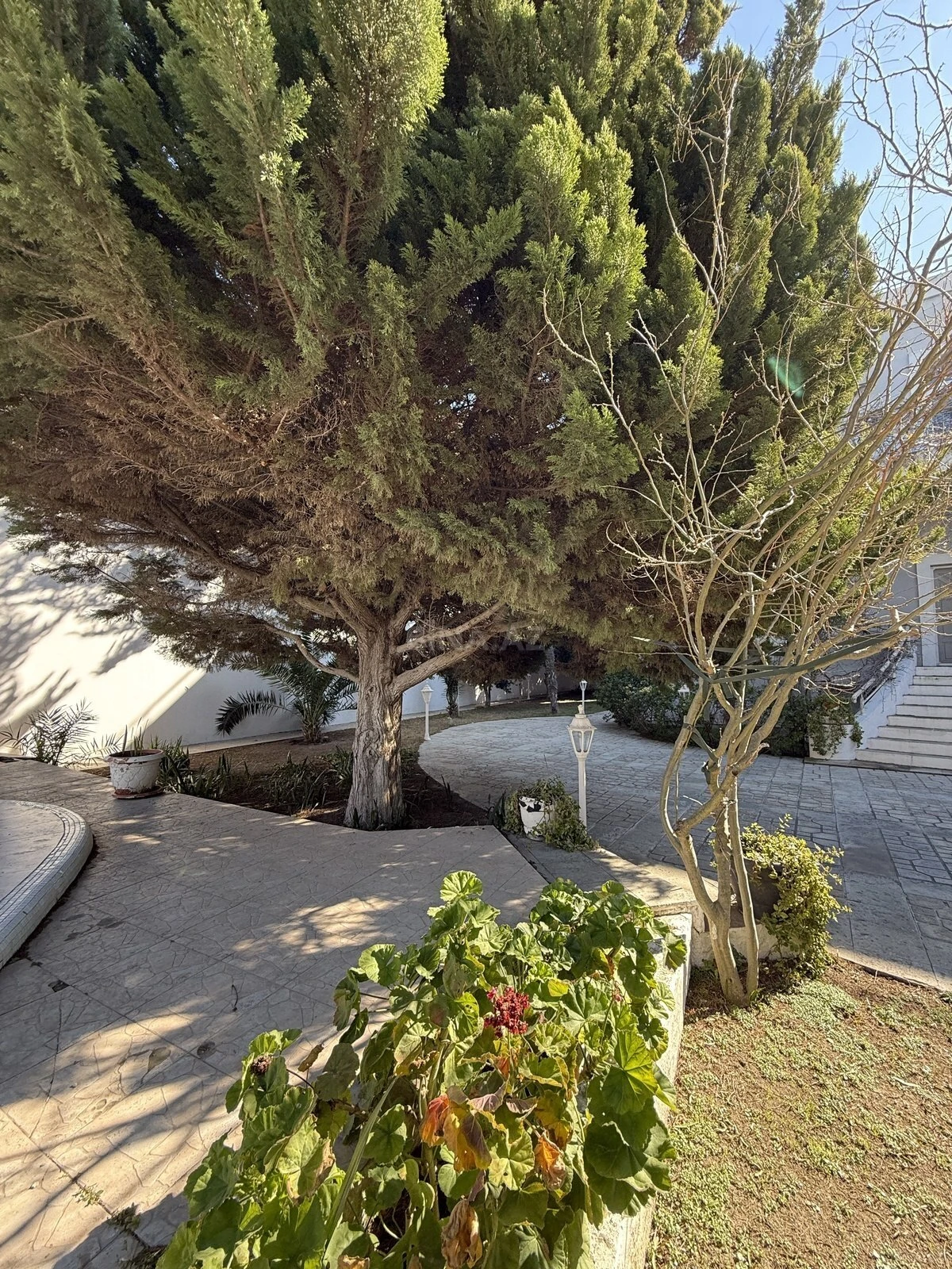 Satılır 5 otaqlı həyət evi 363 m²